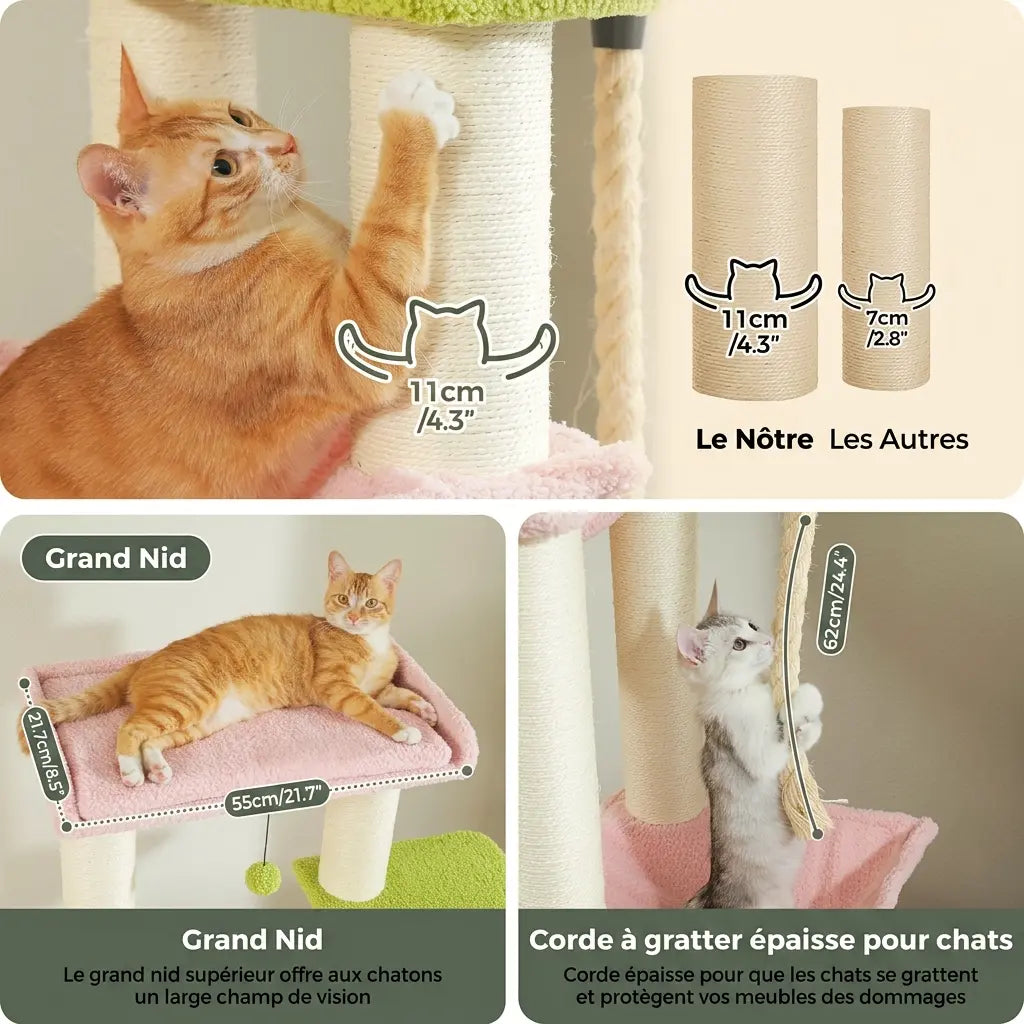 arbre à chat spécial maine coon avec plateformes larges, corde épaisse et espace confortable pour grand chat  