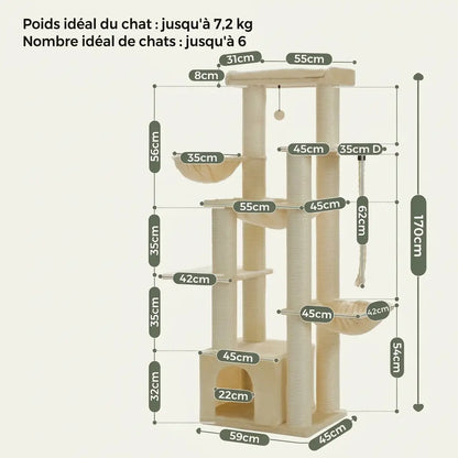 arbre à chat spécial maine coon avec dimensions détaillées, structure robuste adaptée à plusieurs grands chats  