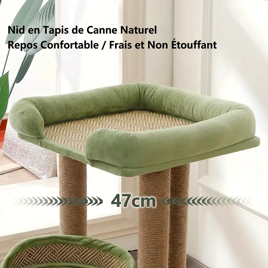 arbre à chat de luxe avec nid en canne naturelle et rebords rembourrés confortables