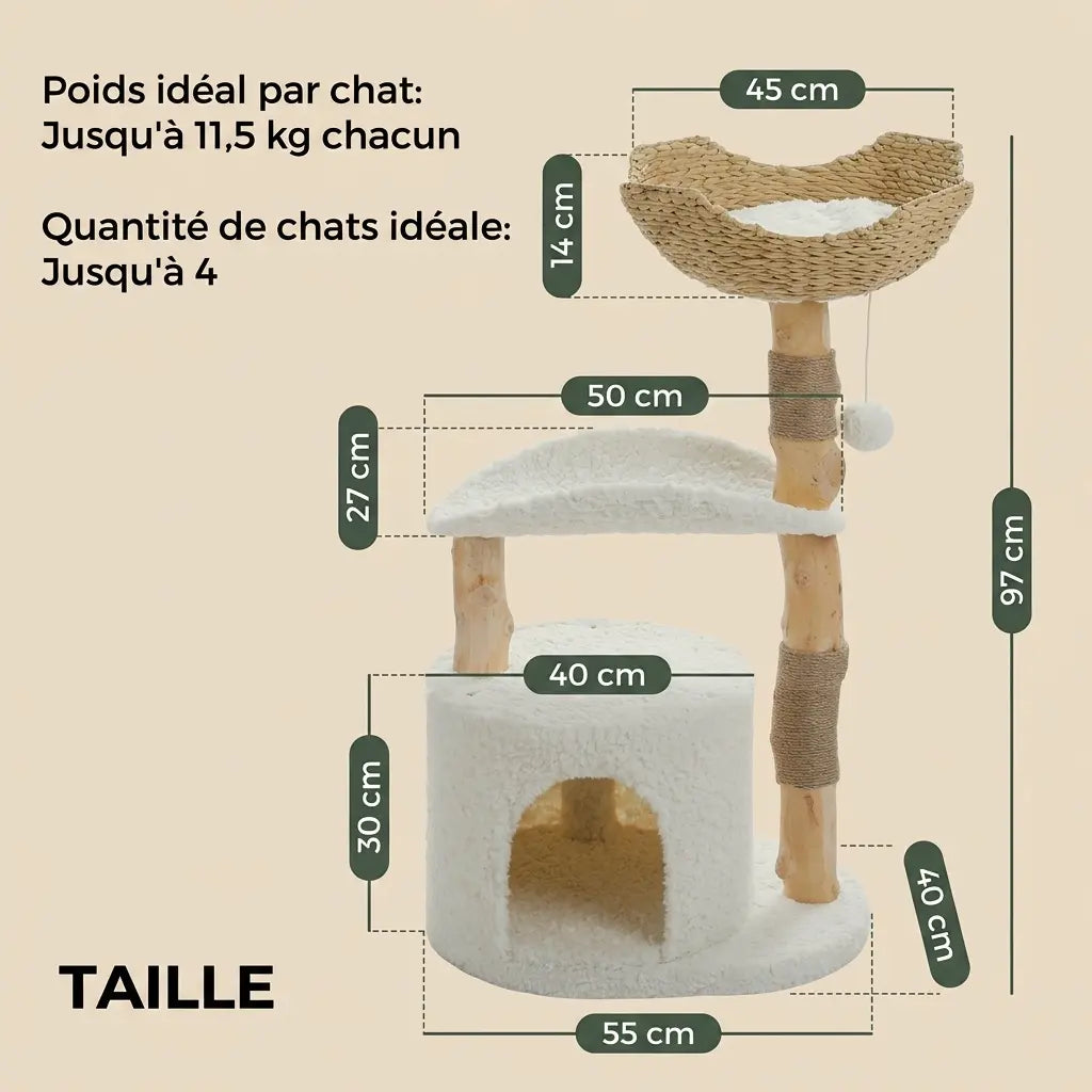arbre à chat scandinave en bois naturel avec dimensions et plateforme confortable pour chat
