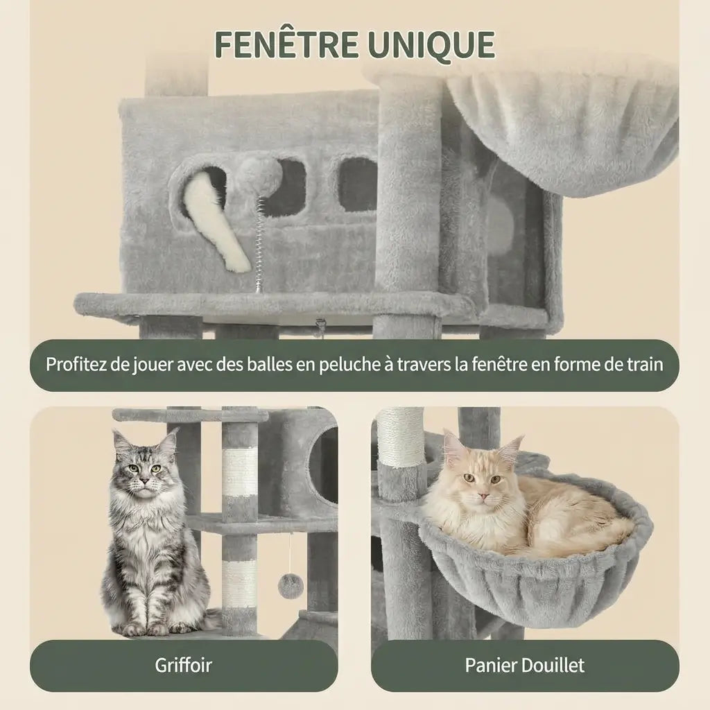 arbre à chat Maine Coon avec fenêtre de jeu intégrée et jouets suspendus pour stimulation