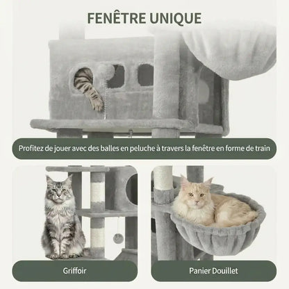arbre à chat Maine Coon avec fenêtre de jeu intégrée et jouets suspendus pour stimulation