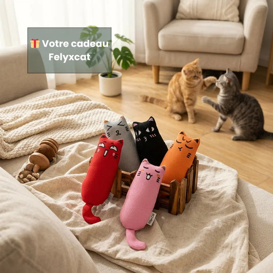 Doudou surprise offert avec chaque arbre à chat Felyxcat, présenté dans un intérieur chaleureux adapté au bien-être du chat.