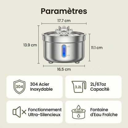 Dimensions et caractéristiques de la fontaine à eau en acier inoxydable 2L pour chat