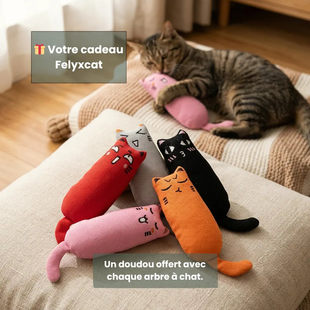 Jouet doudou offert avec chaque arbre à chat Felyxcat, utilisé par un chat dans un espace de repos confortable et apaisant.