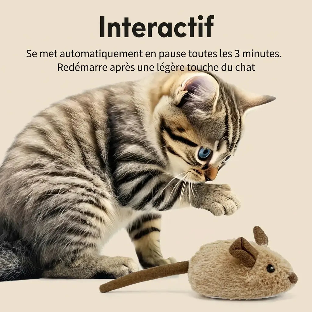 Chat jouant avec un jeu souris pour chat interactif, jouet automatique stimulant l’activité physique et mentale