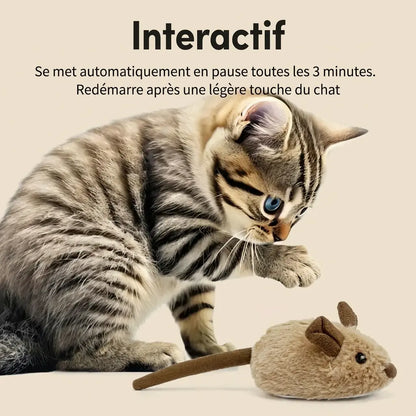 Chat jouant avec un jeu souris pour chat interactif, jouet automatique stimulant l’activité physique et mentale