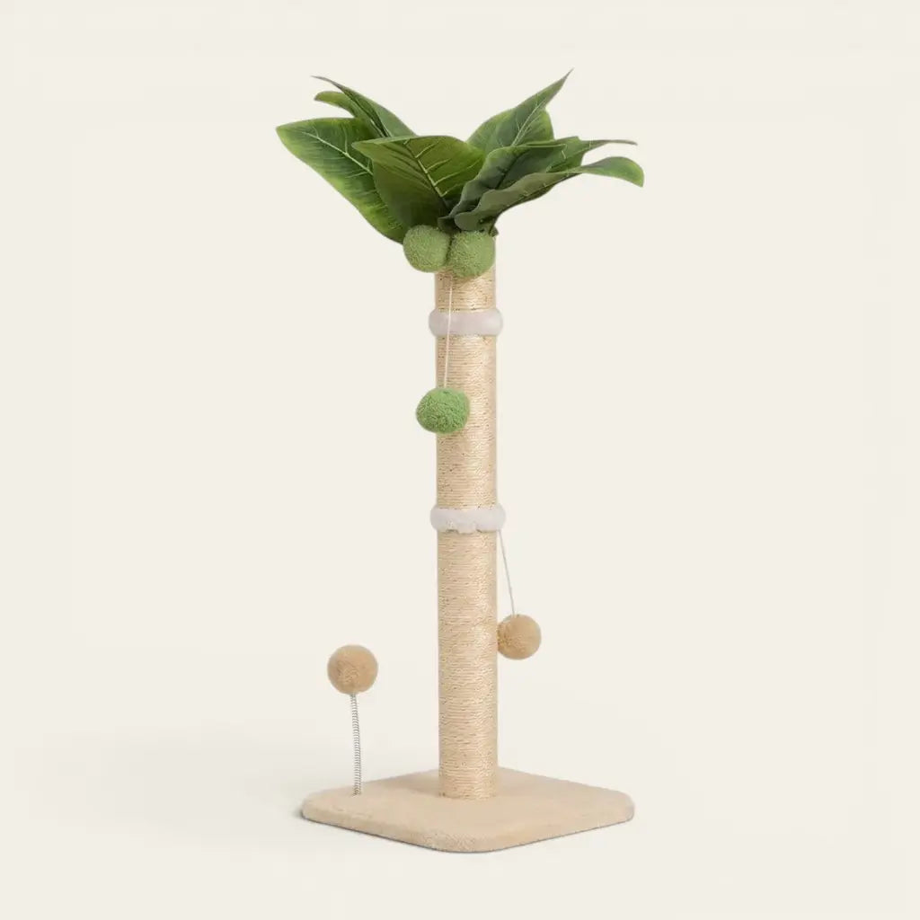 Griffoir arbre à chat design palmier pour chat d'intérieur avec poteau à griffer