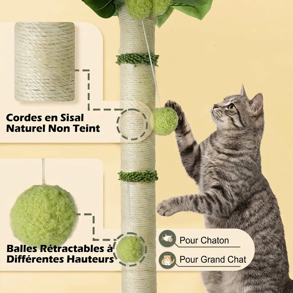griffoir arbre a chat corde sisal naturel avec balles interactives