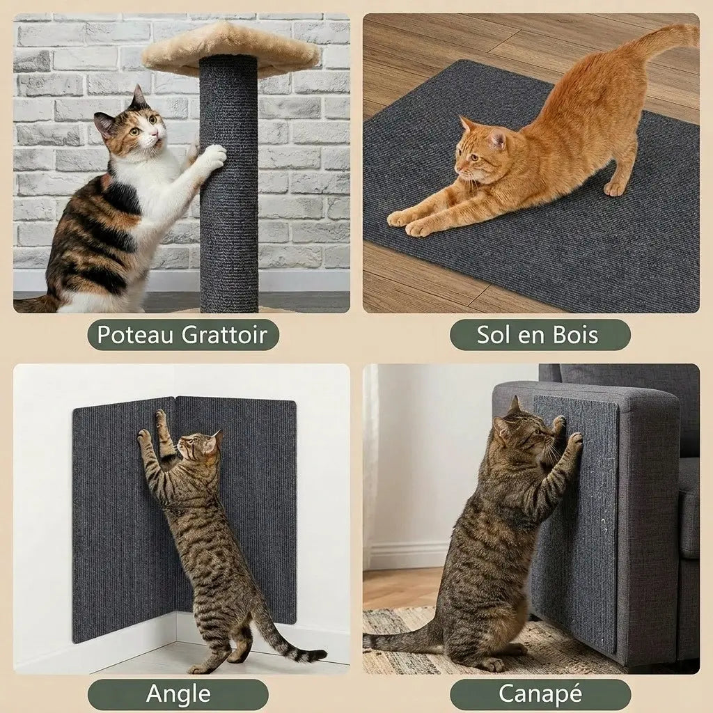 griffoir canapé pour chat utilisable sur sol mur angle et canapé