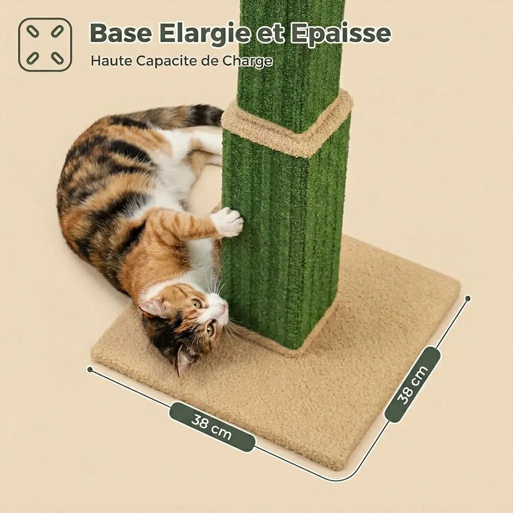 griffoir chat design base large et stable antiderapante haute resistance