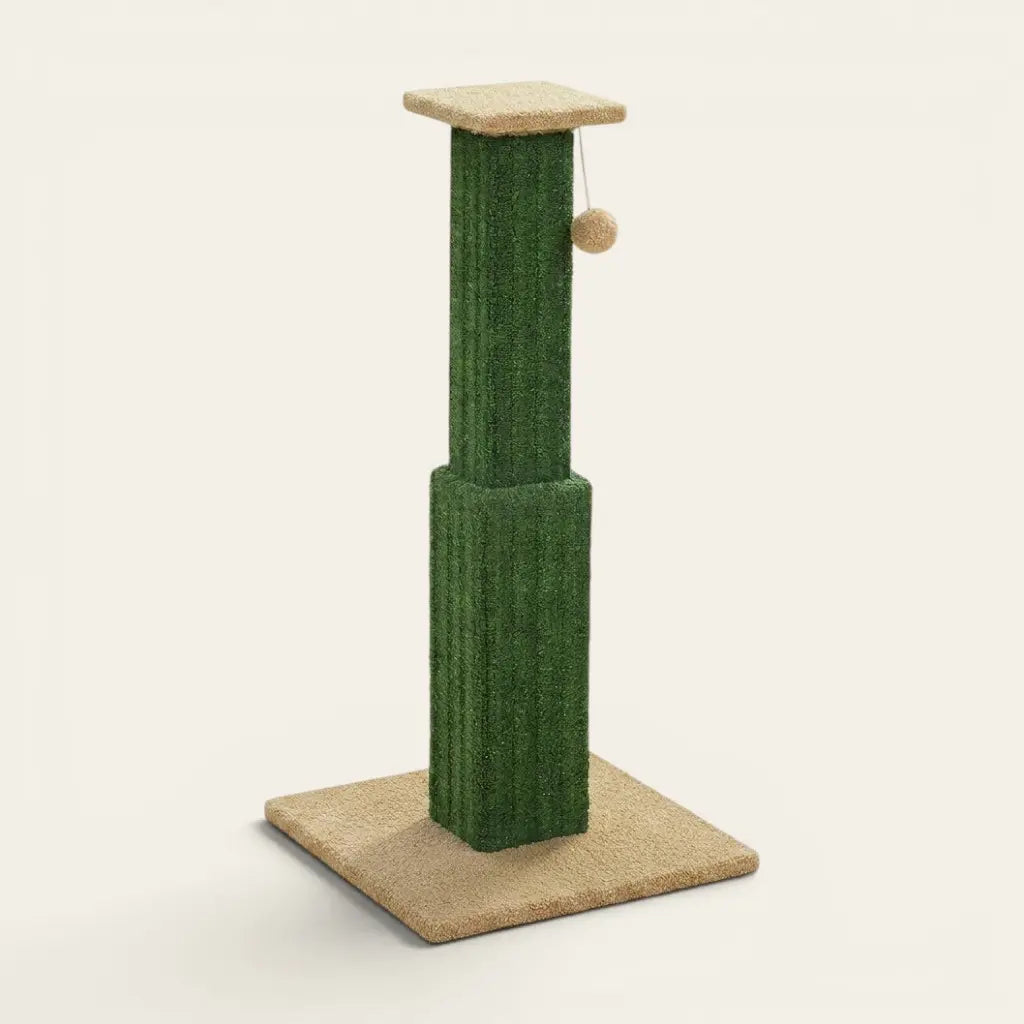 Griffoir chat design vert avec colonne de griffage et balle de jeu suspendue