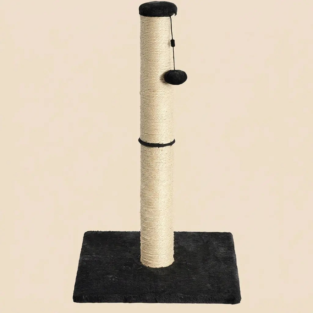 griffoir poteau chat noir moderne avec base large stable