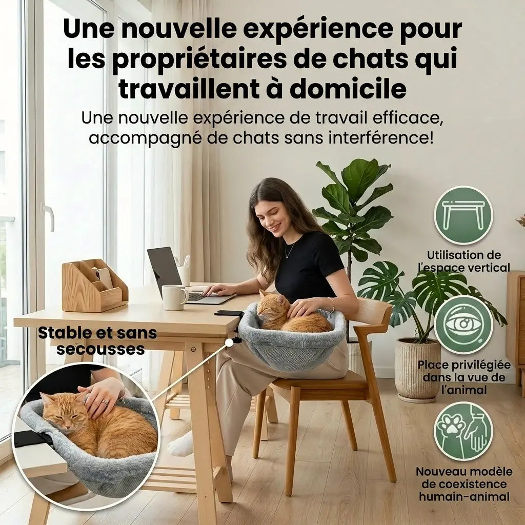 hamac chat suspendu pour bureau travail
