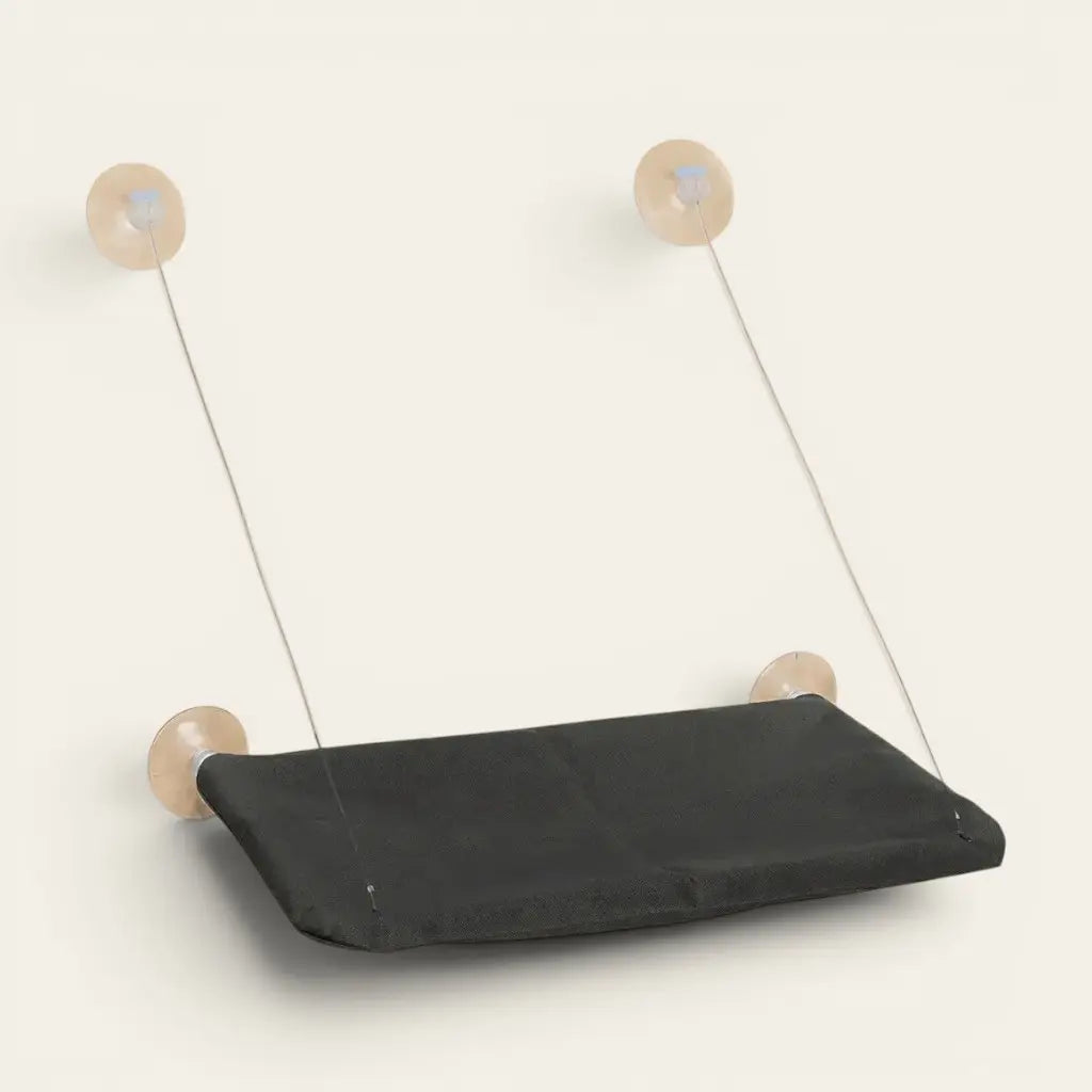 Hamac pour chat à ventouse noir installé sur fenêtre offrant un espace d’observation et de repos pour chat d’intérieur.