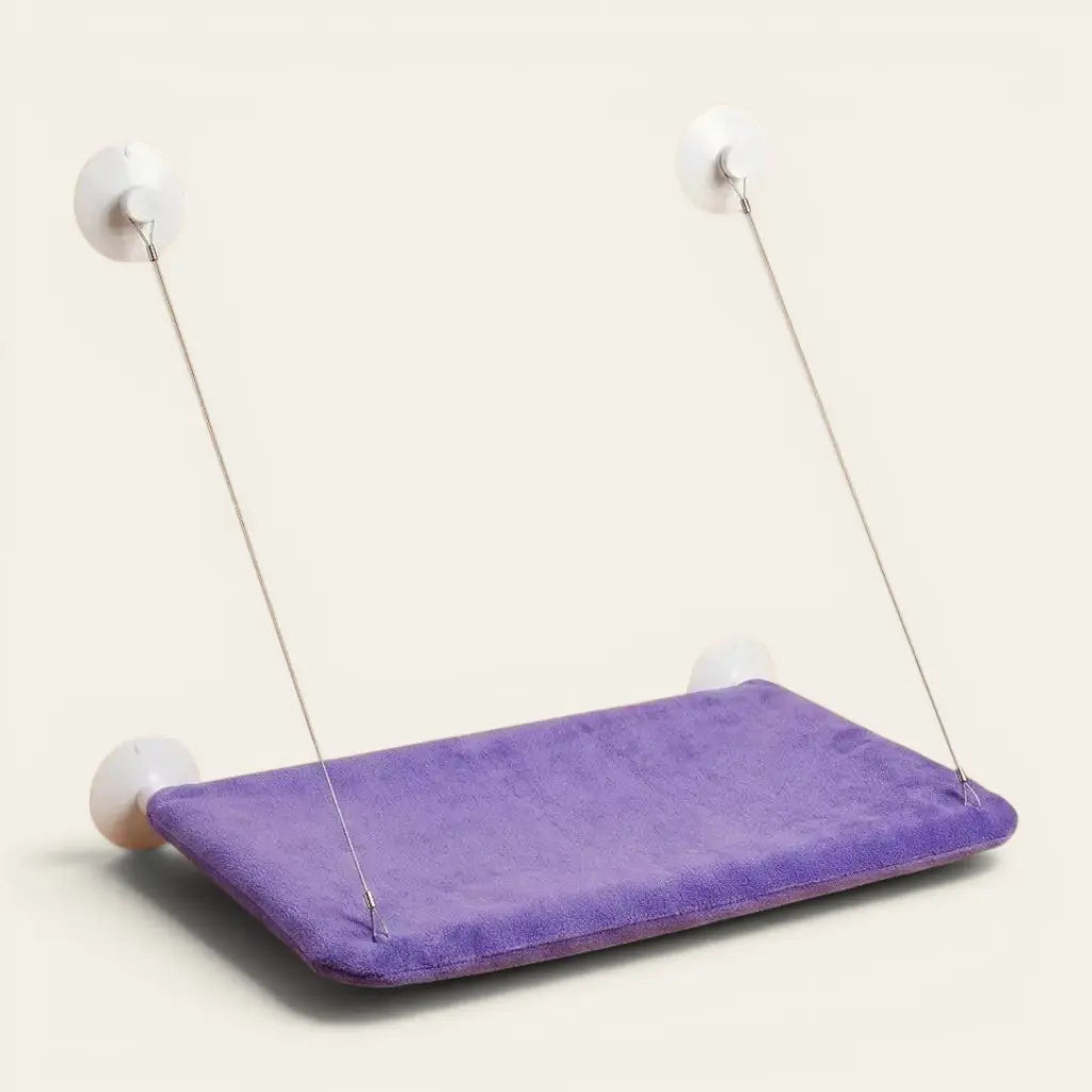 Hamac pour chat à ventouse violet fixé à une fenêtre offrant un espace de repos confortable et surélevé.