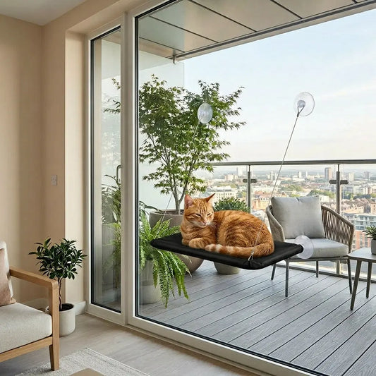hamac ventouse chat balcon vue exterieur fixation vitre solide couchage suspendu