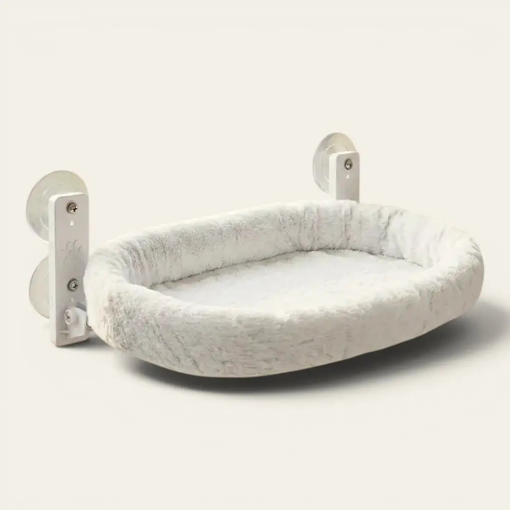 Hamac ventouse fenêtre chat confortable avec coussin doux et support à ventouses pour offrir un espace de repos en hauteur.