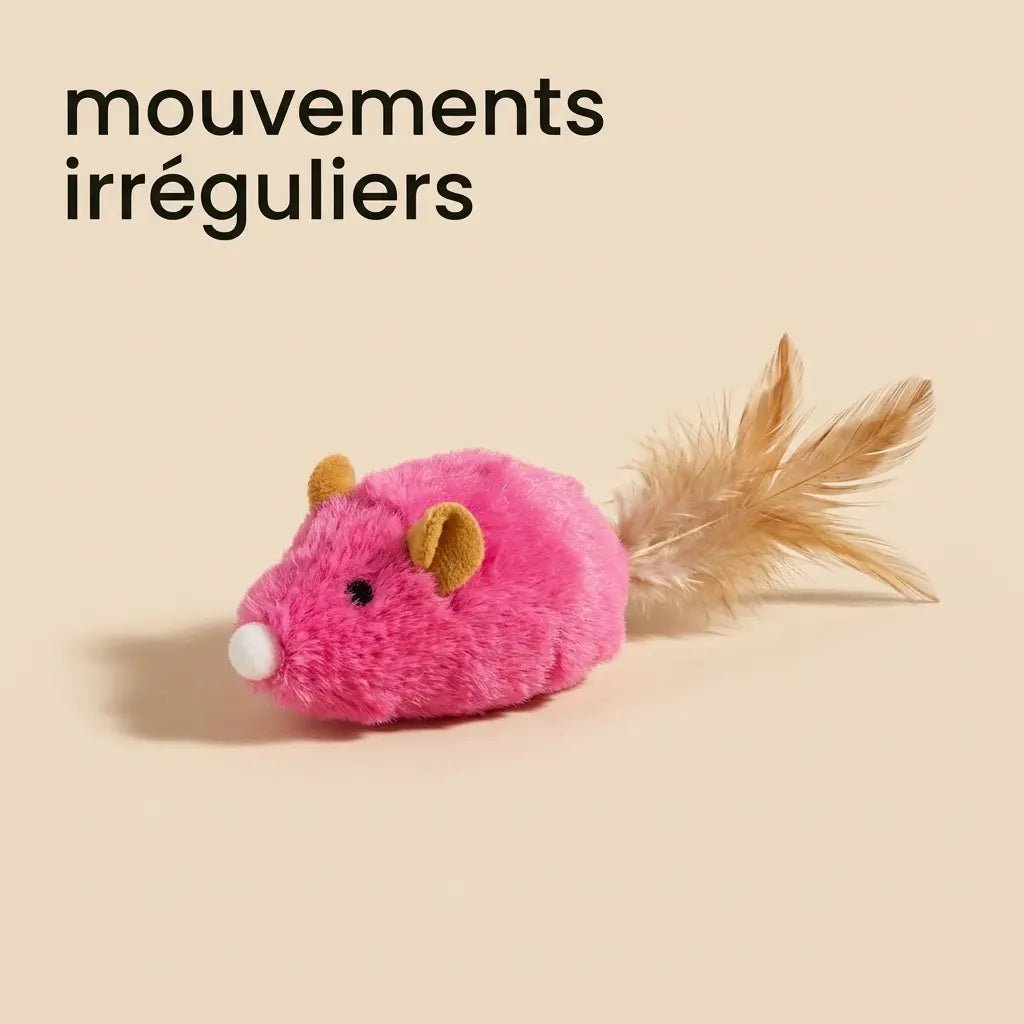 Jeu souris pour chat interactif rose avec queue, jouet stimulant pour chats actifs et joueurs
