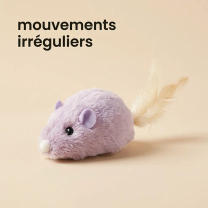 Jeu souris pour chat interactif violet avec plume, jouet stimulant pour chats actifs et joueurs

