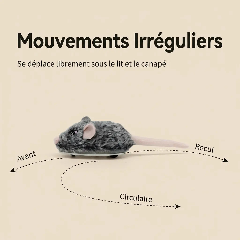 Jeu souris pour chat avec mouvements automatiques aléatoires, jouet intelligent pour occuper le chat à la maison