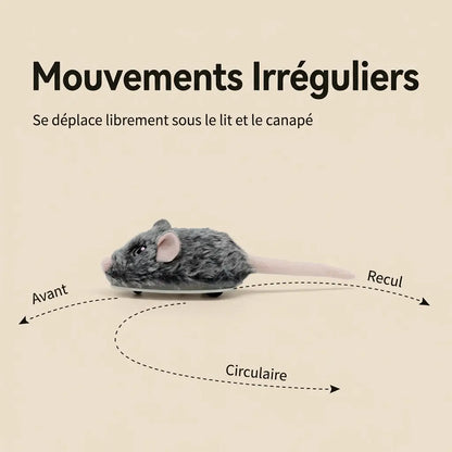 Jeu souris pour chat avec mouvements automatiques aléatoires, jouet intelligent pour occuper le chat à la maison