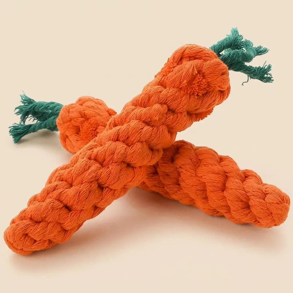 lot jeux chaton cordes carotte
