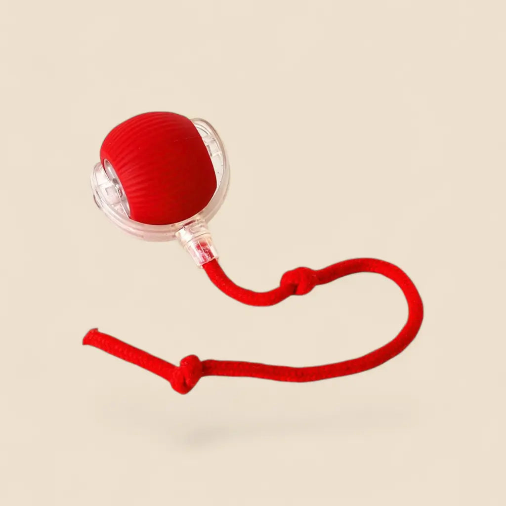 jouet chat automatique balle rouge avec corde pour encourager le jeu actif du chat