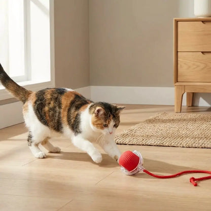 chat jouant avec un jouet chat automatique balle rouge avec corde interactive