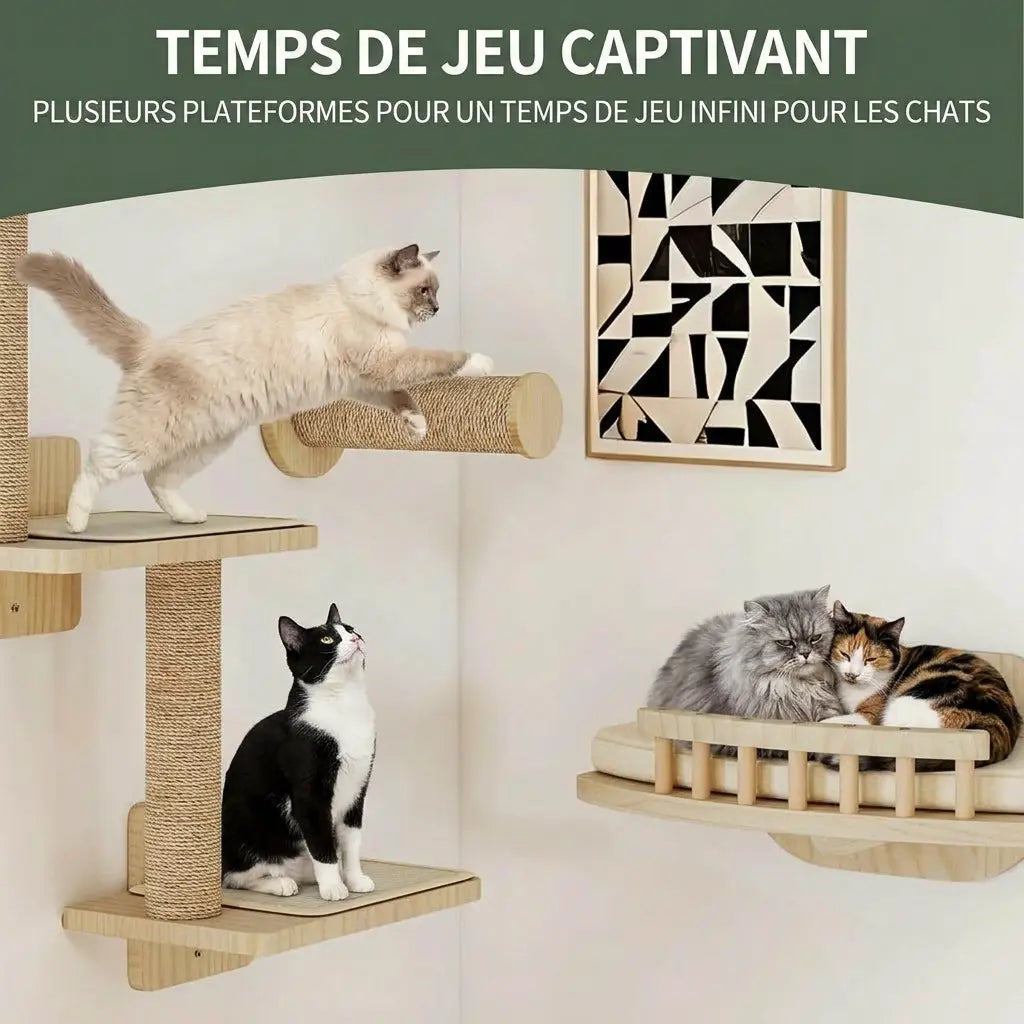 kit arbre à chat mural avec plateformes murales pour jeu et escalade du chat