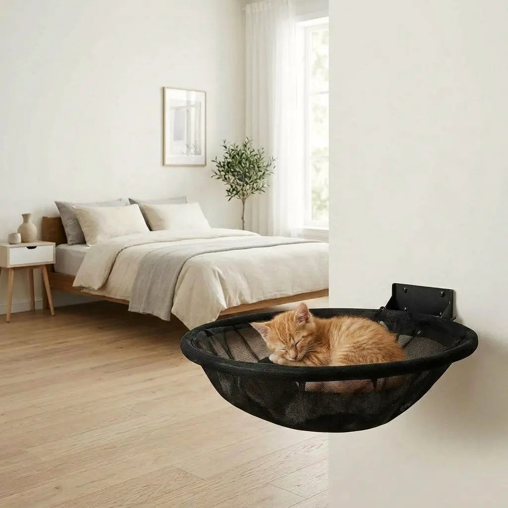 hamac chaton mural suspendu design moderne
