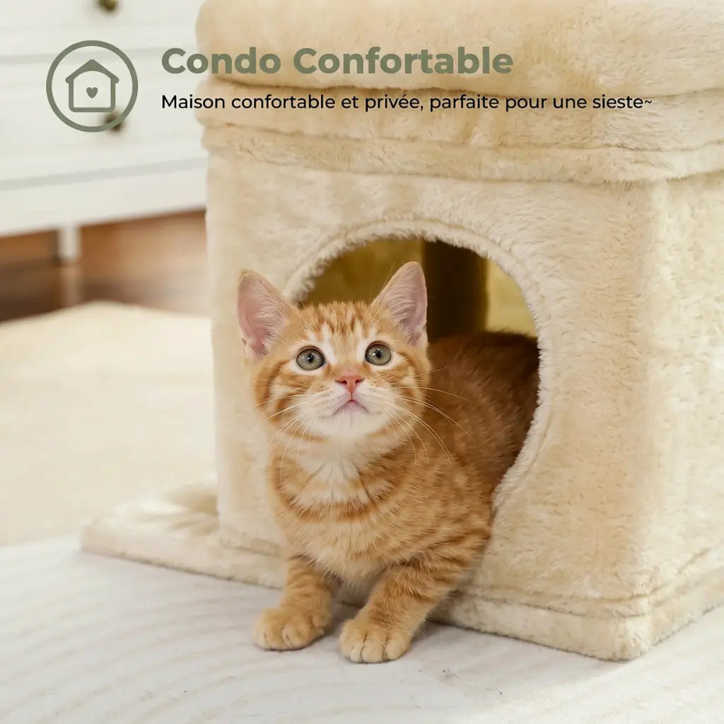 Mini arbre à chat beige avec condo confortable et chaton roux dans la niche