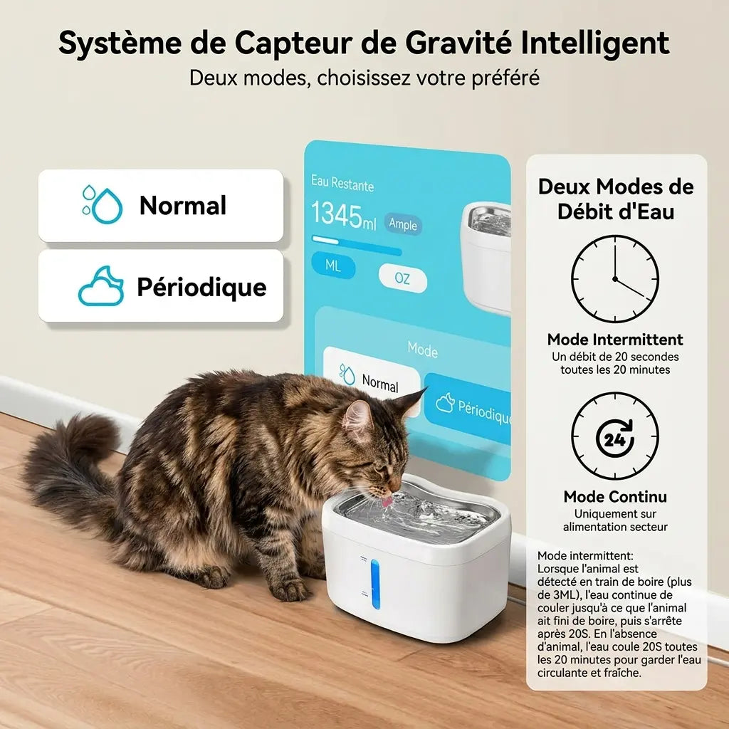 Présentation des modes normal et périodique de la fontaine à eau connectée avec capteur intelligent