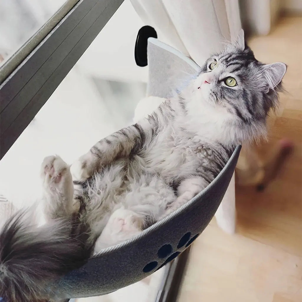 panier chat fenetre confortable avec design ergonomique offrant un espace de repos en hauteur pour chat detendu