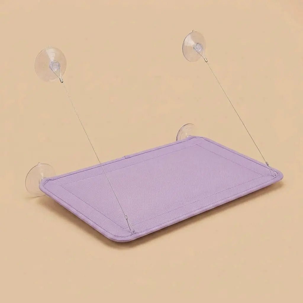 perchoir fenetre pour chat violet hamac fenetre chat fixation ventouse robuste