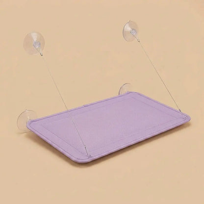 perchoir fenetre pour chat violet hamac fenetre chat fixation ventouse robuste