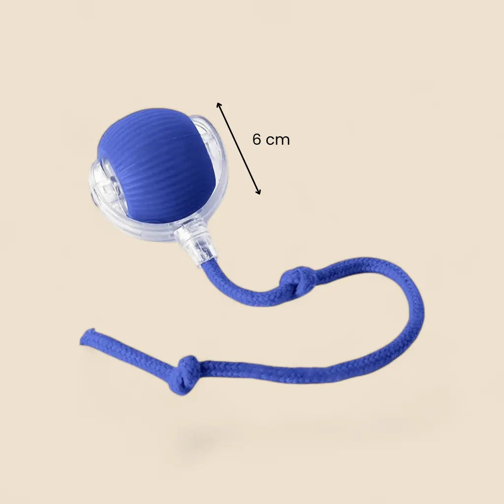 smart ball chat avec corde bleue de 6 cm pour encourager le jeu et l’activité du chat
