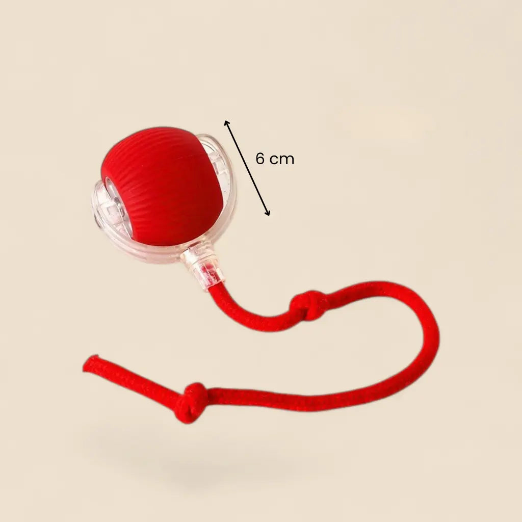 smart ball chat avec corde rouge de 6 cm pour encourager le jeu actif du chat