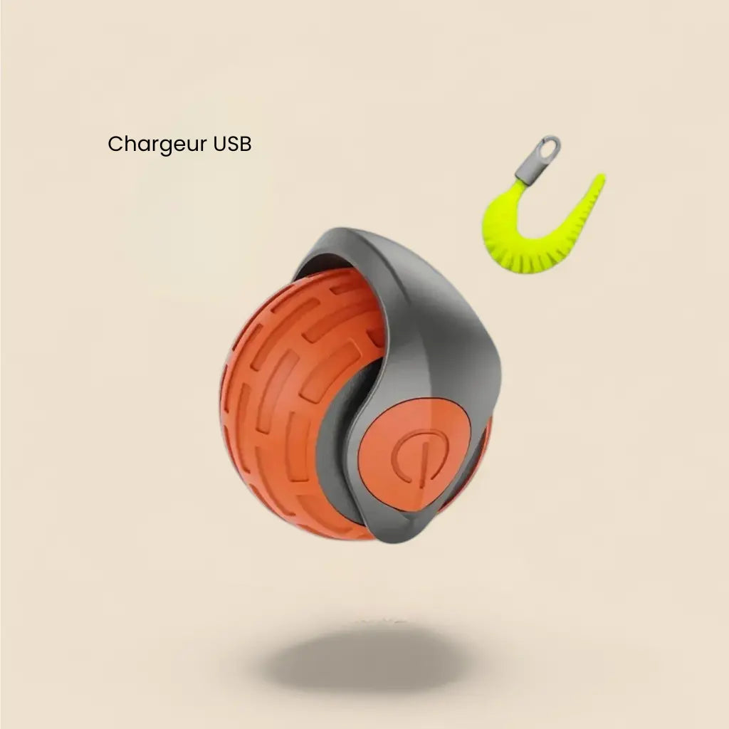 smart ball chat rechargeable avec câble USB pour un jeu autonome et durable