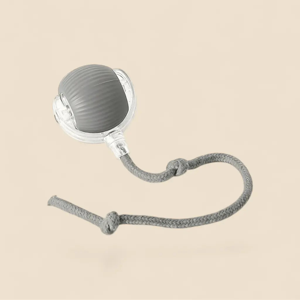 smart ball chat avec corde intégrée pour encourager le jeu actif et l’exercice du chat