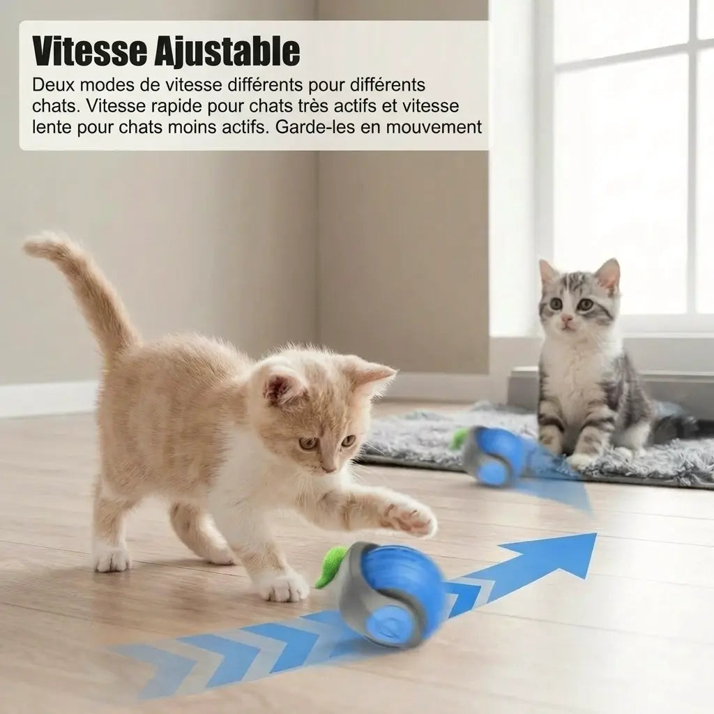 chaton jouant avec une smart ball chat à vitesse ajustable pour stimuler son activité physique