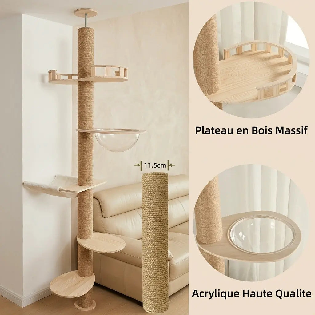 tour griffoir pour chat avec plateformes en bois massif et bulle en acrylique transparente