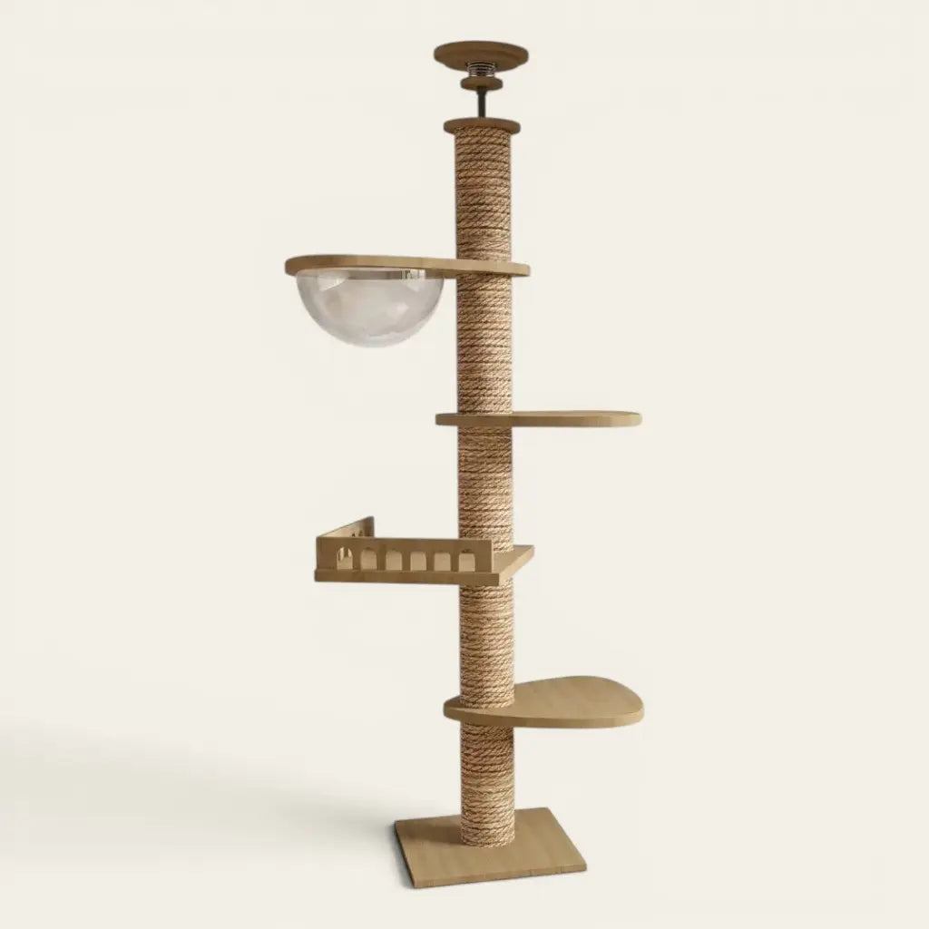Tour griffoir pour chat avec bulle transparente et plateformes en bois pour grimper, observer et se reposer en hauteur.