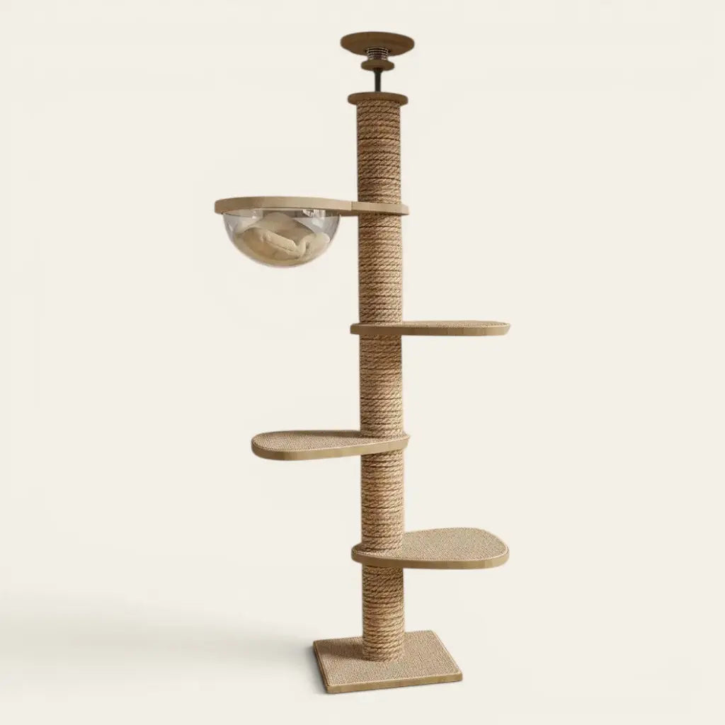 Tour griffoir pour chat design avec couchage bulle transparent et plusieurs niveaux d’observation.