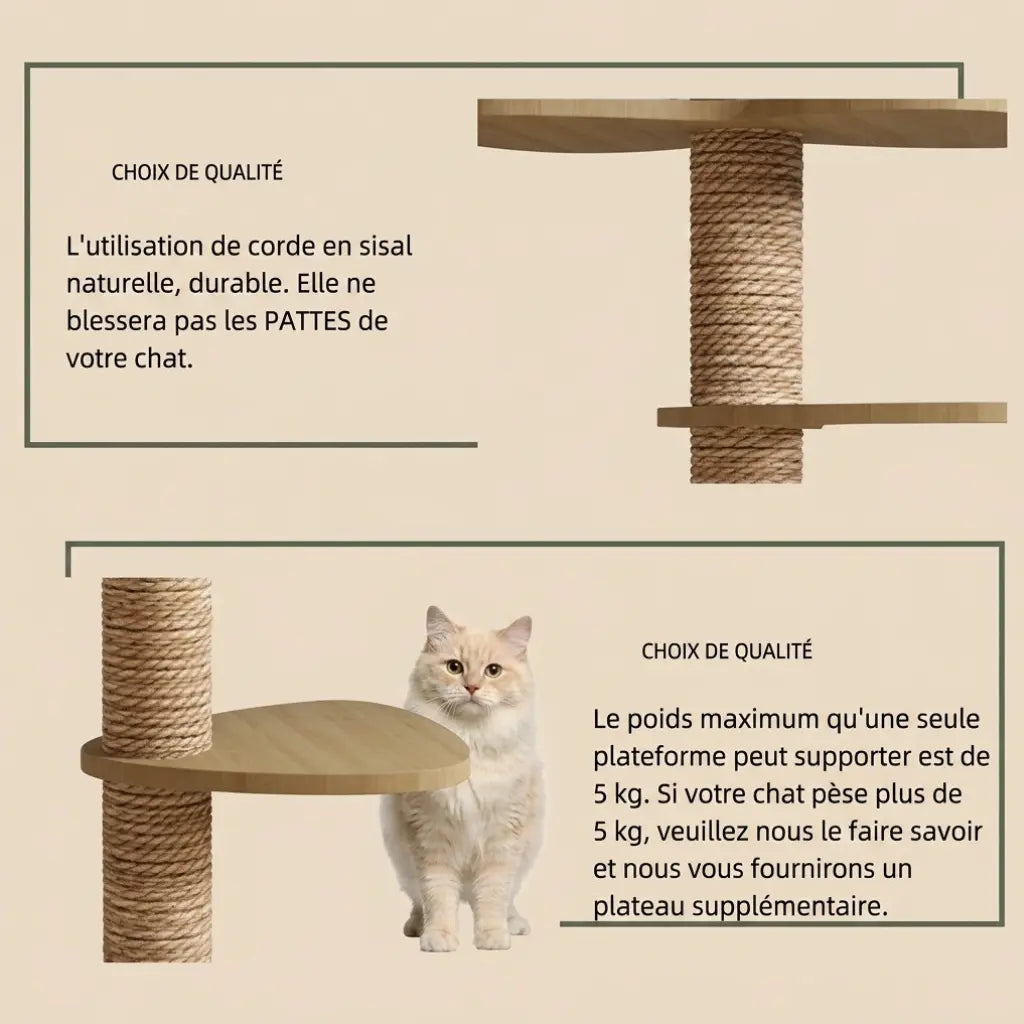 tour griffoir pour chat avec corde en sisal naturel résistante et sécurisée pour les pattes