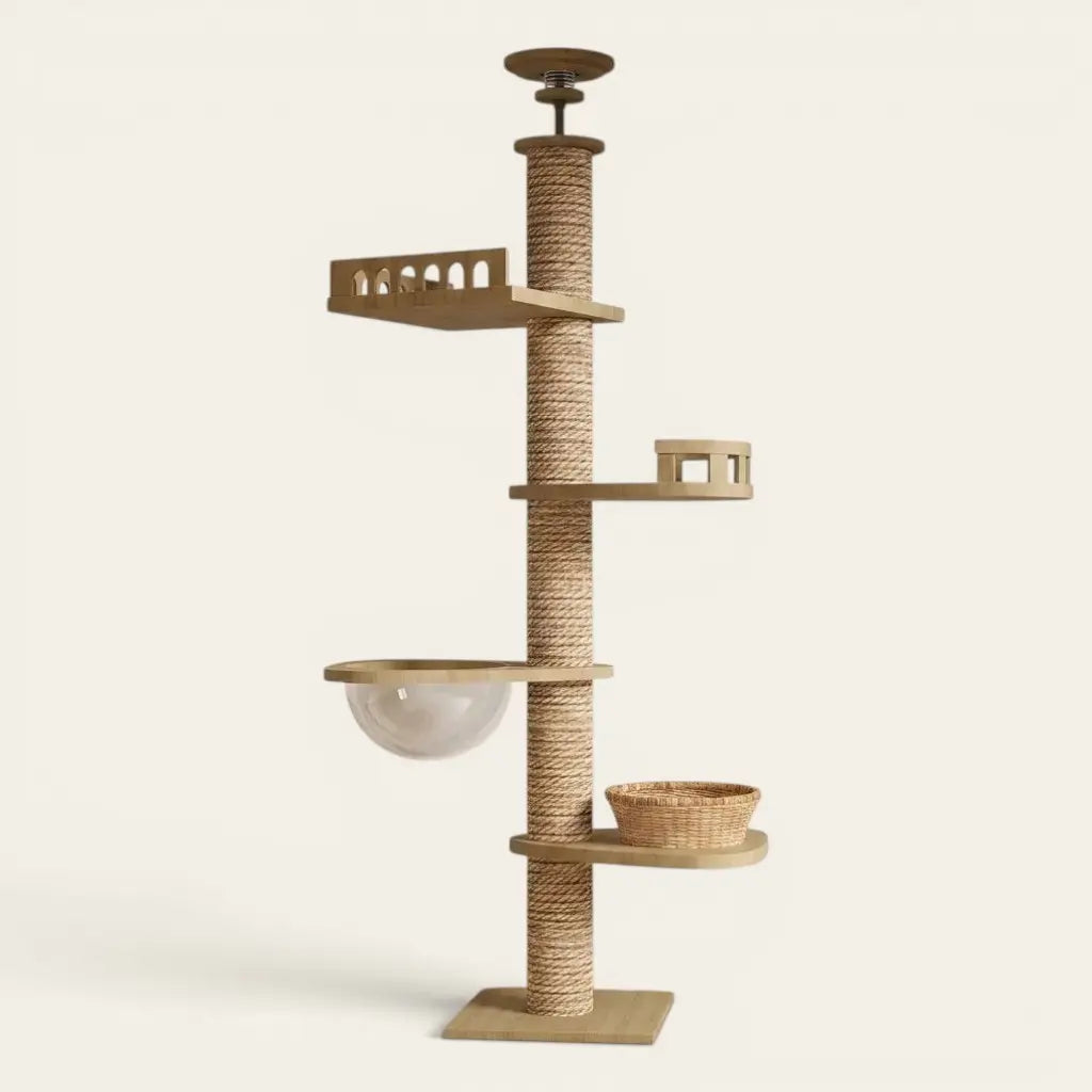 Tour griffoir pour chat avec bulle transparente, plateformes de repos et poteau à griffer en sisal.